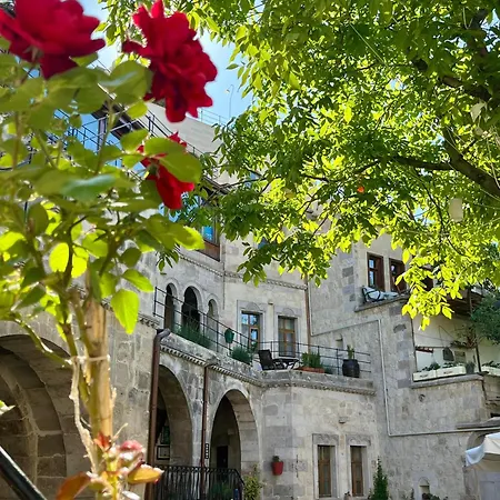 Hotel Century Cave 2*